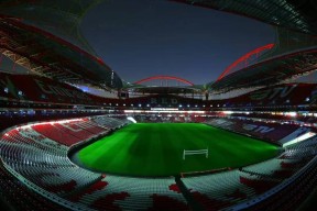 关于里程碑夜！本菲卡迎来里程碑，欧联今晚刷纪录，赛场秩序良好，控场能力受关注的信息